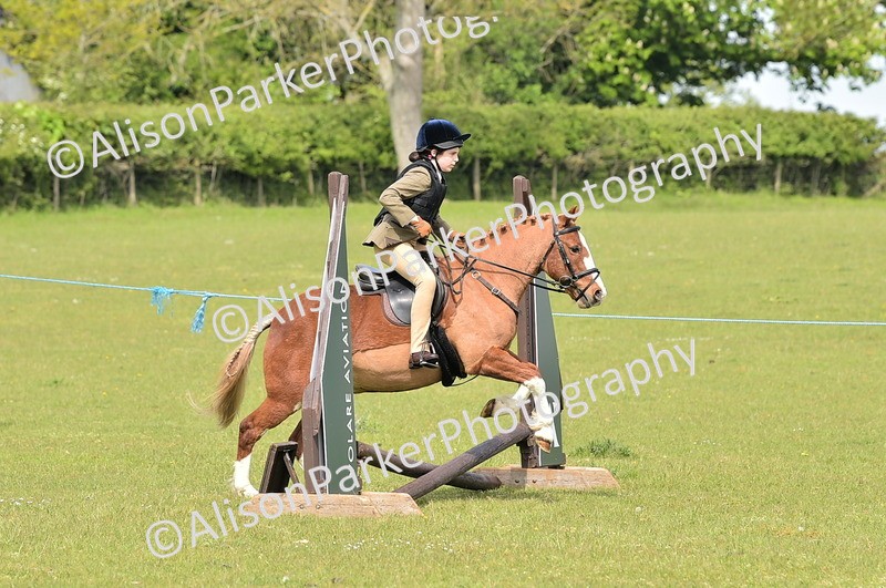 20260426-2296 - Class 20 - Beginner Working Hunter