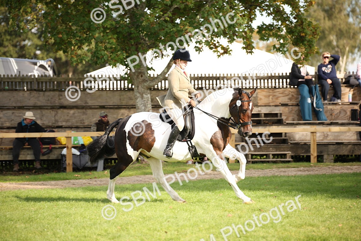 SBM_50184 - S26 - Young Veteran - Ridden