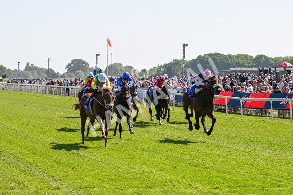 160525-Race 3-Kon Tiki-6428 - Race 3 3.13pm Sky Bet Fillies' Stakes