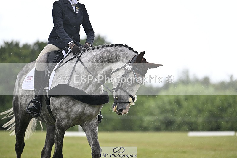 240824X-123239-26377 - D80 Section E and F 12.00 to 13.20