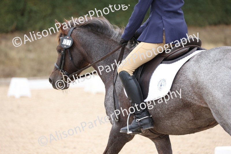 20250819-0887 - Class 2 - Prelim 1