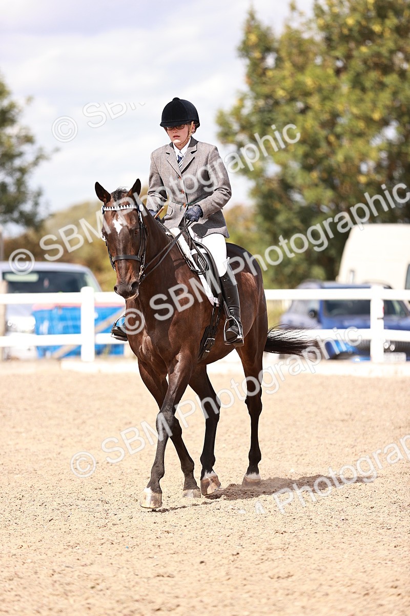 SBM_14440 - Class 410 - Grassroots Ridden - Horse