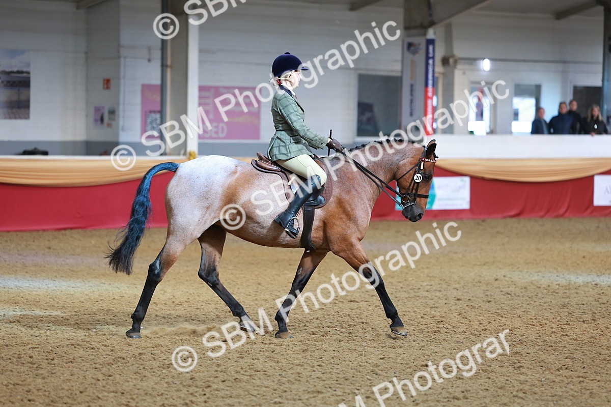SBM_09527 - Class 102 - HOYS Veteran Qualifier - Ridden Veteran