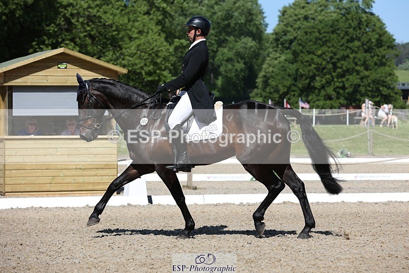 230526-103203-05280 - 362-SPIRIT'S_GEMINI-Harry_Dzenis-WEDTrotUp+DR