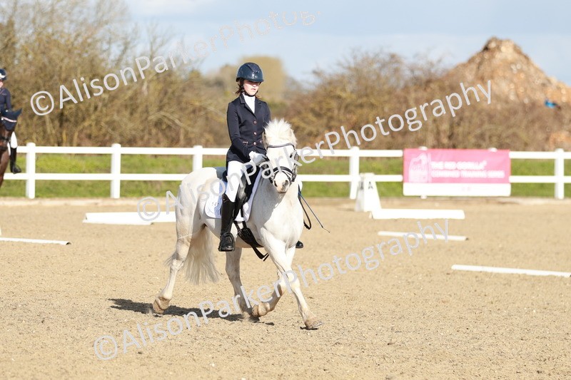 20260314-4509 - DR4 - Prelim 2