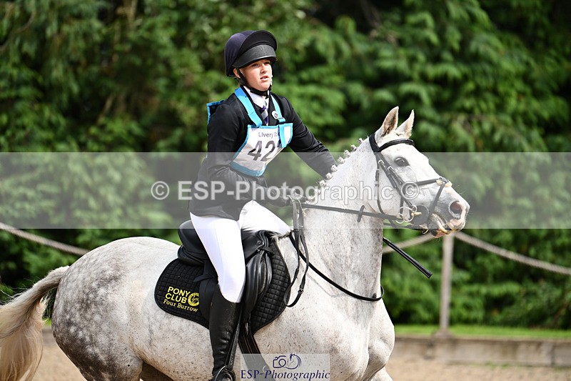 240824X-144729-29429 - 80cm Round 2 14.30 to 15.30