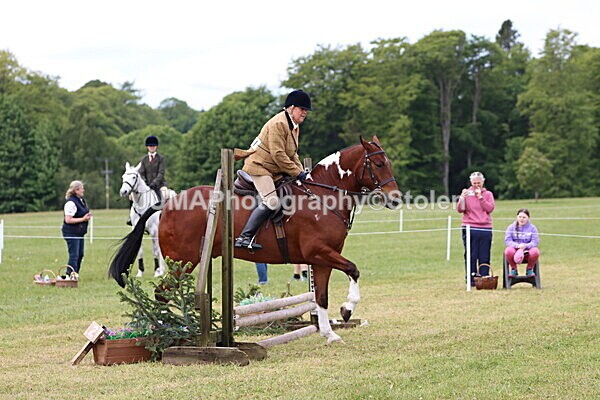 IMG_2782 - Working Hunter