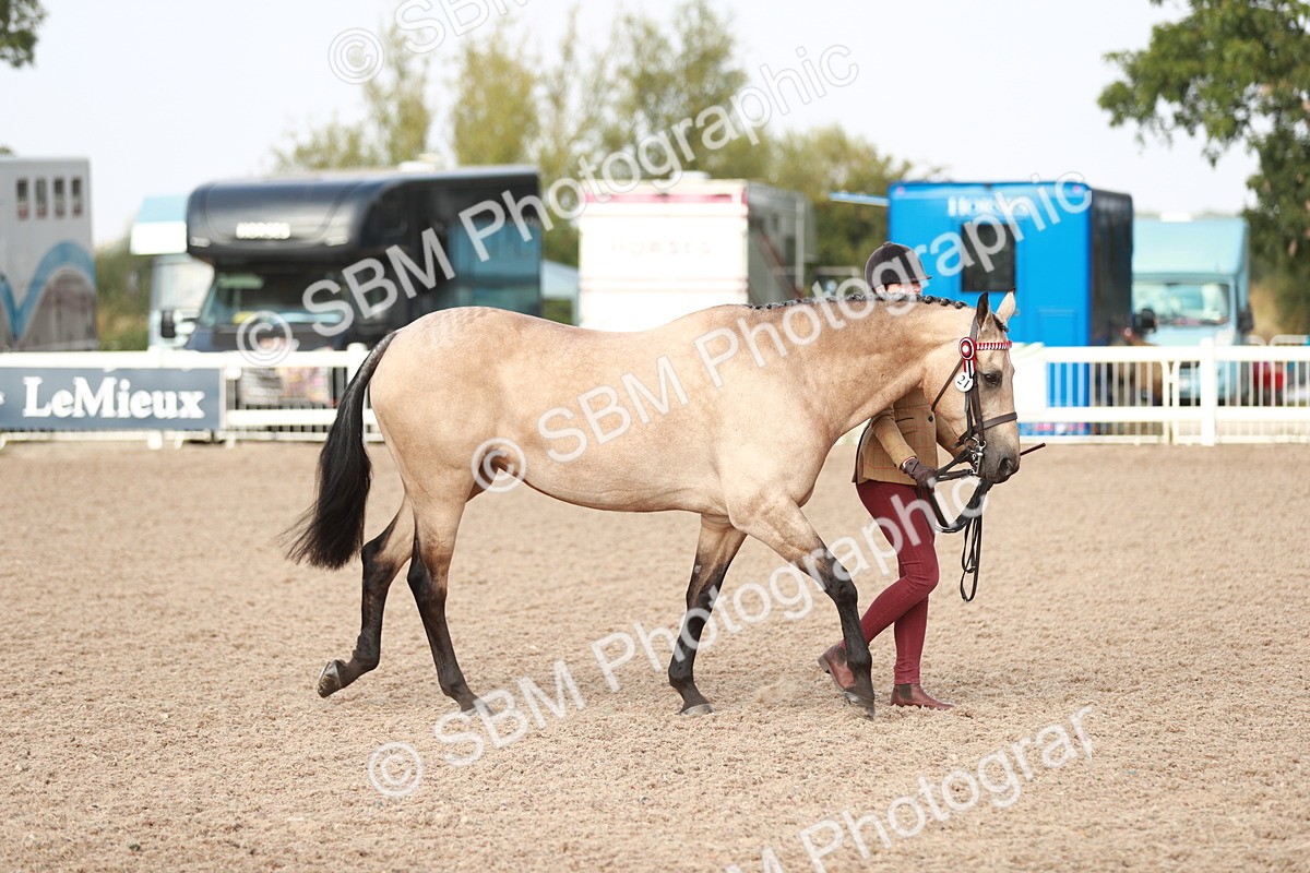 SBM_10496 - Class 204 Young Handler, 11-16 years