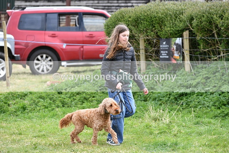 WJ5_9163 - Class 1 Best Cross Breed / Heniz 57