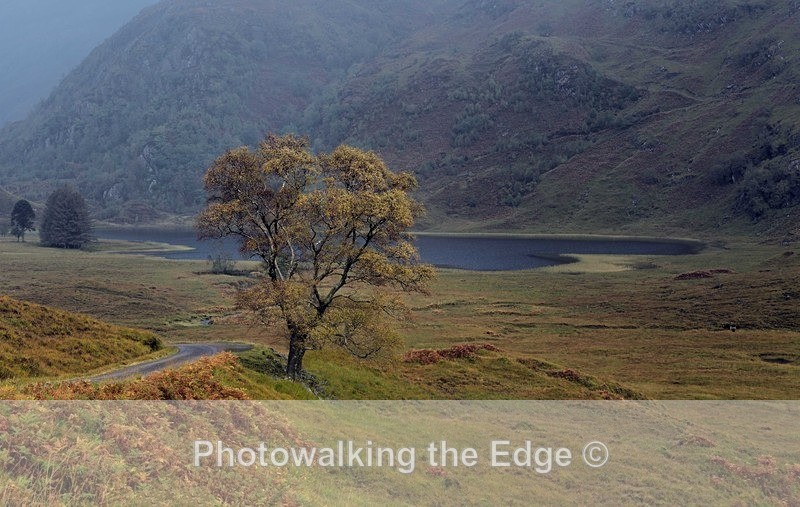 13 - Scotland