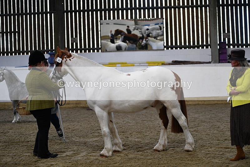 WJ5_3989 - Class 2 Best Condition In hand