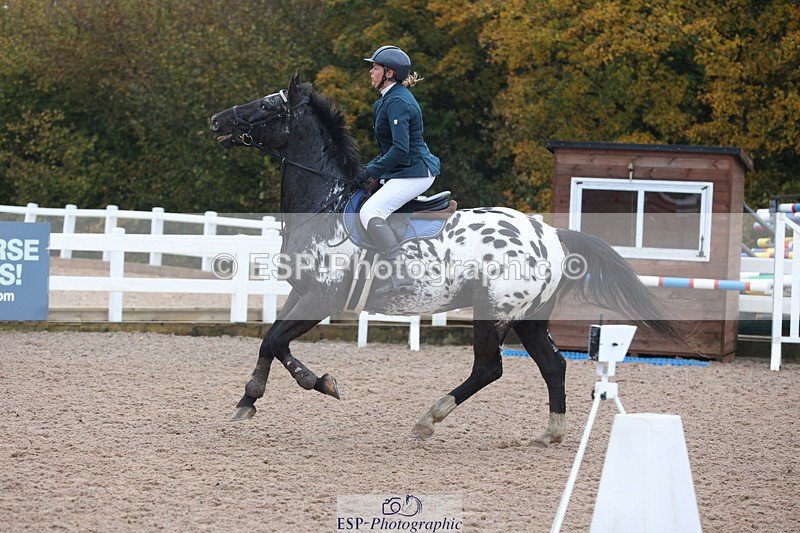 231112A-095526-03123 - Cls 17 Blue Chip Novice Winter Qualifier