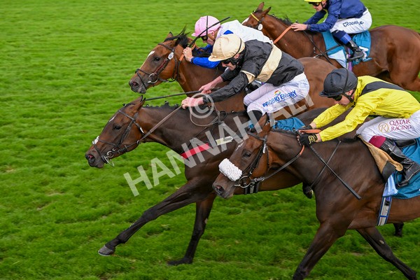 220824-Race 7-Alfa Kellenic-8097 - Race 7 5.20pm British EBF Fillies' Handicap
