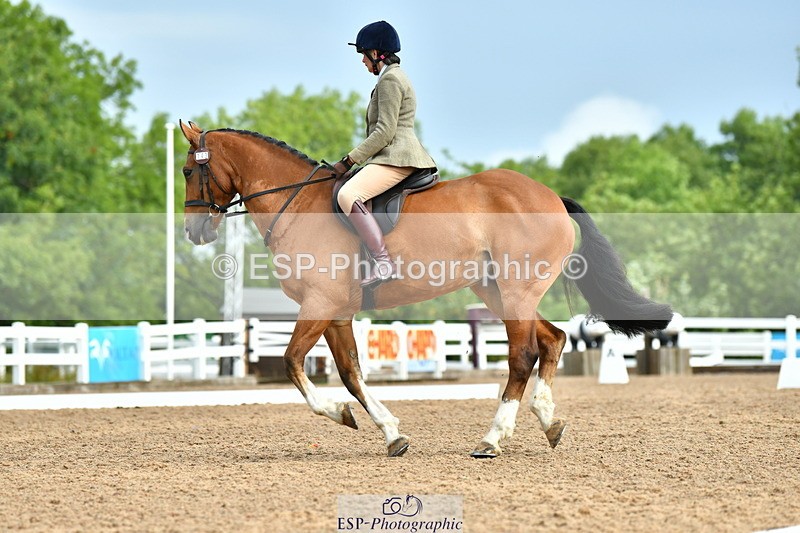 230708A-092628-02087 - Prelim 13