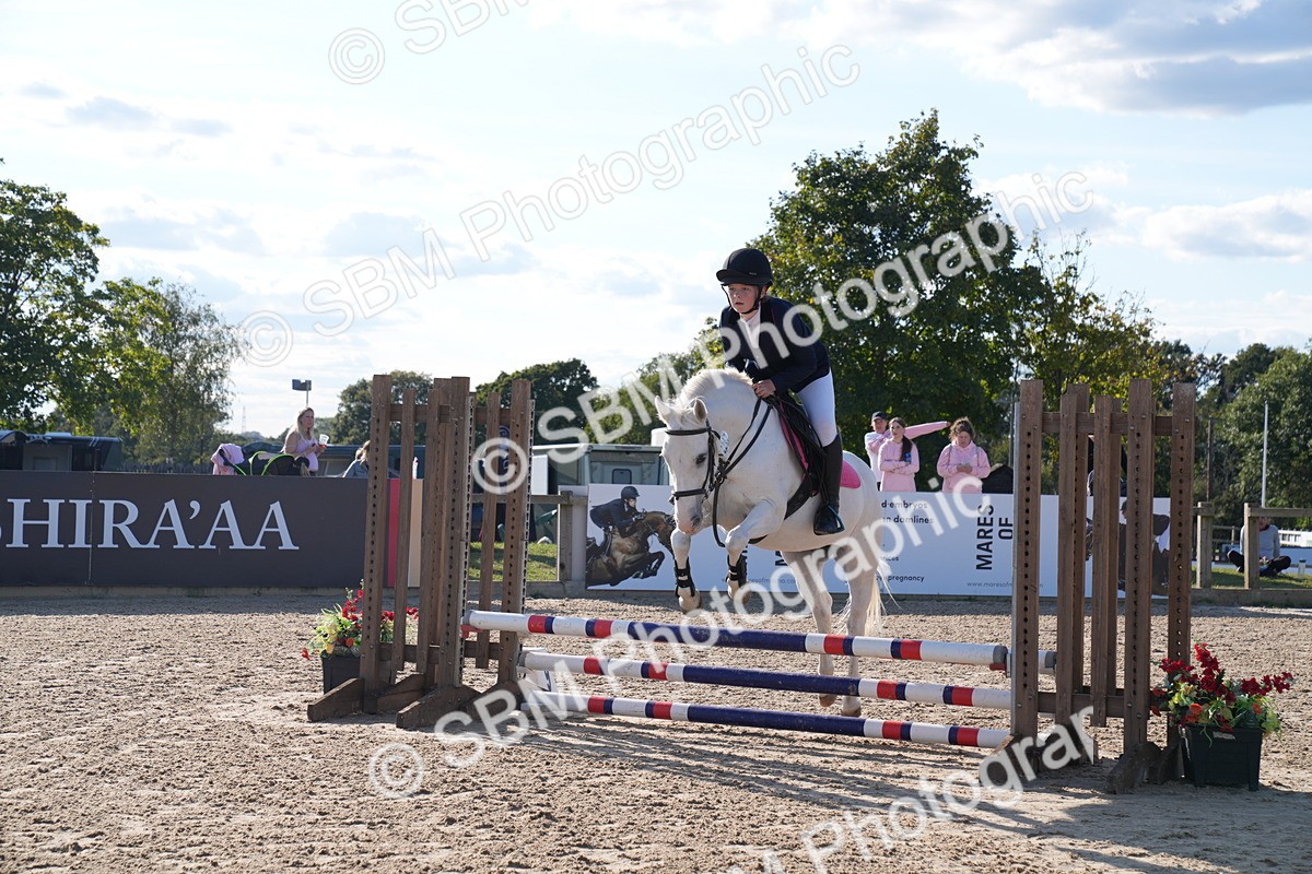 SBM_27924 - J43 - Super Speedy Scurry Open - 60cm