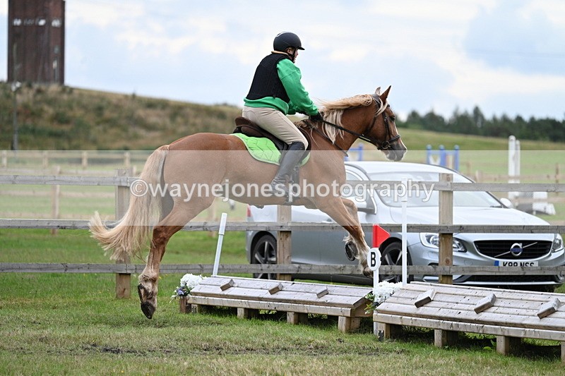 WJ7_7856 - 40cm Time 10:49 to 11:18