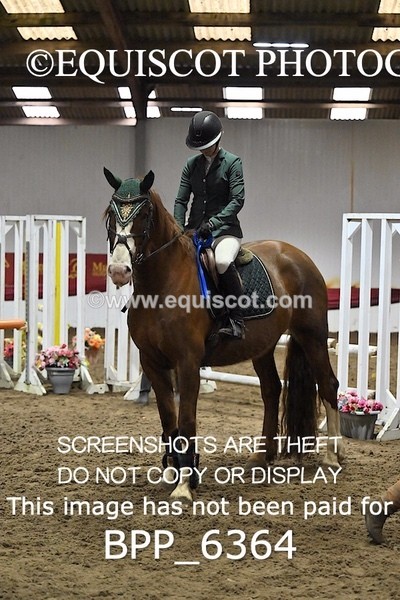 BPP_6364 - CLASS 2  Club/ Unaffiliated 80cms Open