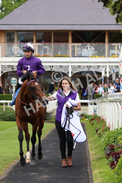 yr22052022r2-21 - Race 2: 4:00pm Sky Bet Sunday Series EBF Novice Stakes