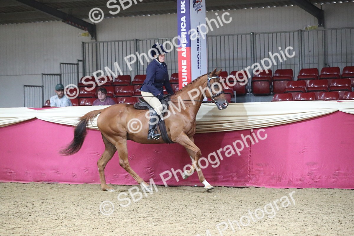 SBM_12319 - Class 108 Ridden Retired Racehorse- Pre Judging