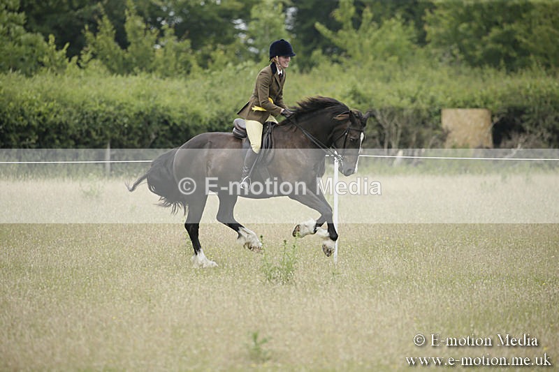 B230619-0552 - Bourne Valley Riding Club Summer Show 23/06/19