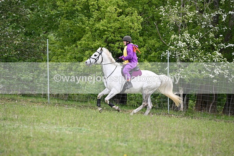 WJ6_1536 - Group 4 A&B Cameras