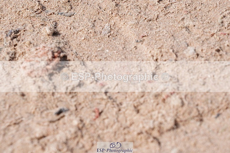 250427-111358-16154 - Cls 4 - 2 Star Small Tour