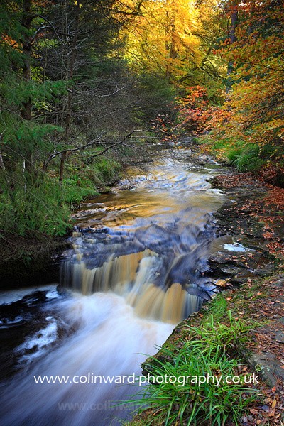 Autumn Falls  Ref 6773 - County Durham