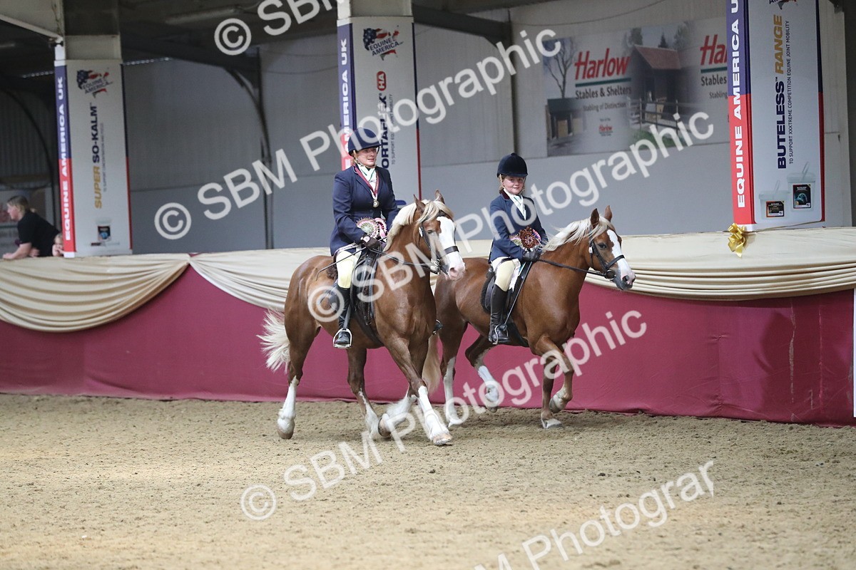 SBM_13798 - Class 109 Ridden Pairs - Section B