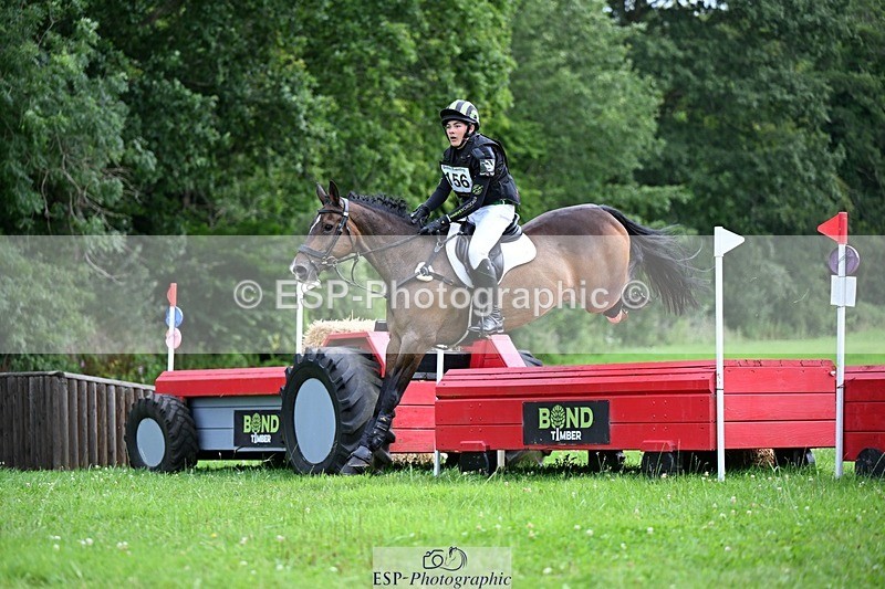 240803-135154-06724 - 156-Harvey_Crocker-THE_NIGHT_TRAVELLER