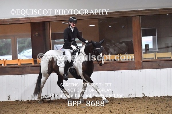 BPP_8688 - NOVICE 6 BD