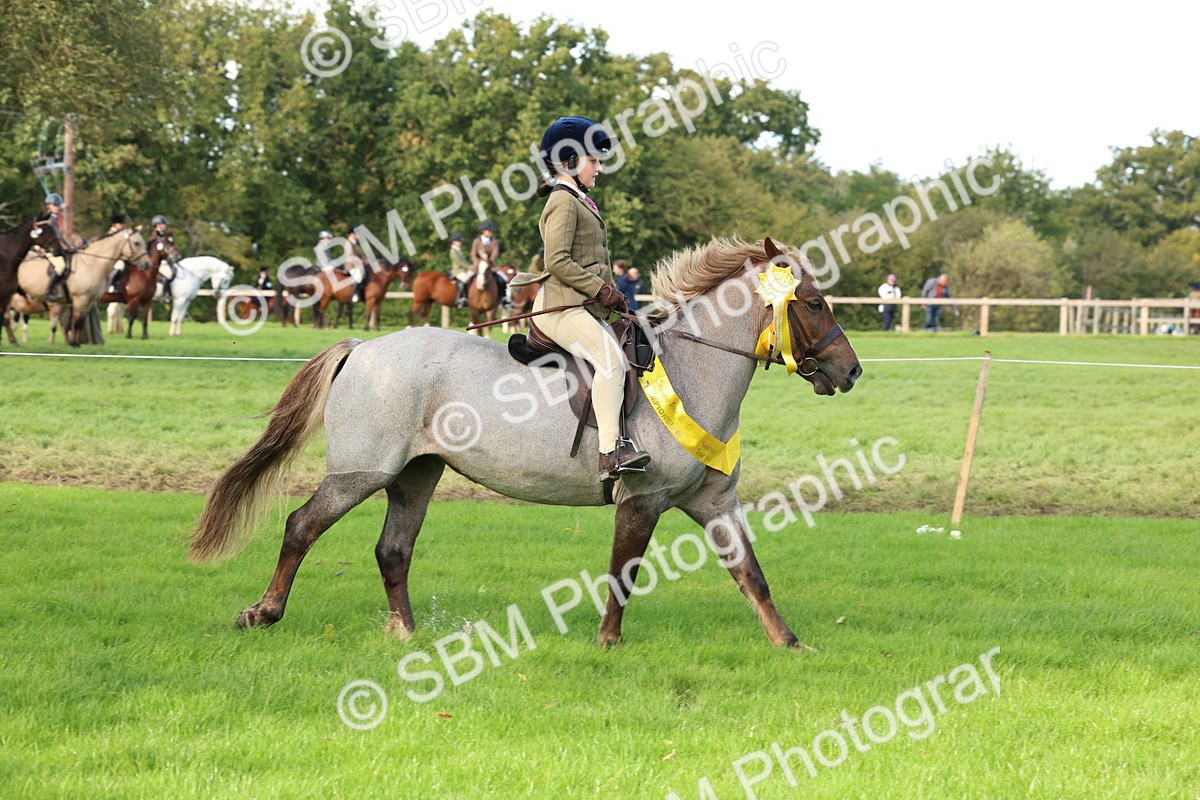 SBM_46354 - Working Hunter Pony Supreme Championship