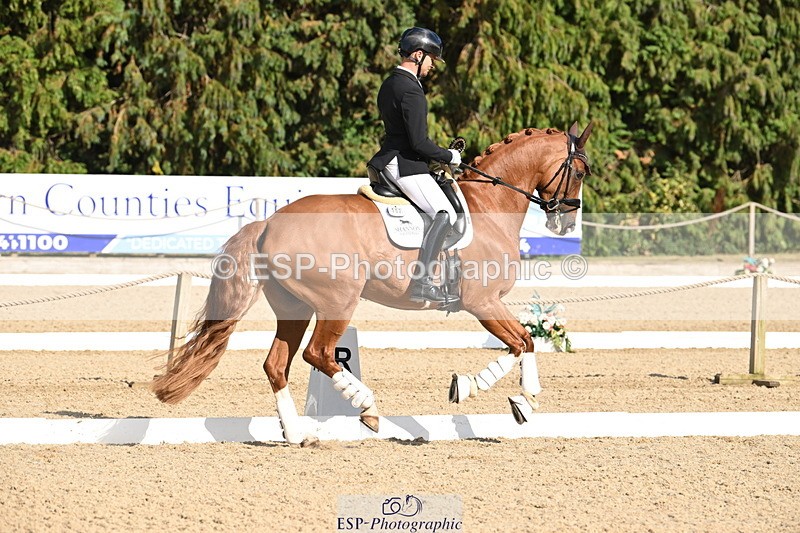 250808A-170431-02243 - Preliminary GOLD Presentations