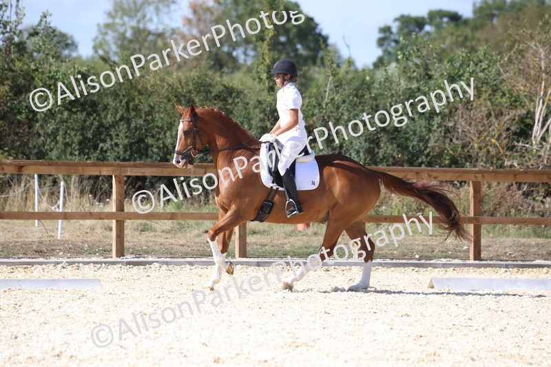 20260905-1549 - Class 5 - Novice 2