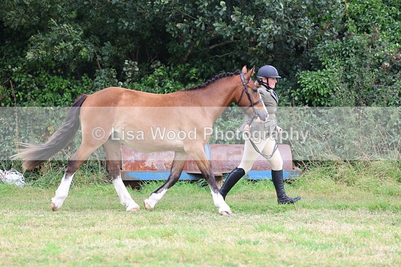 3E7A4096 - Class 15: Two Year Olds