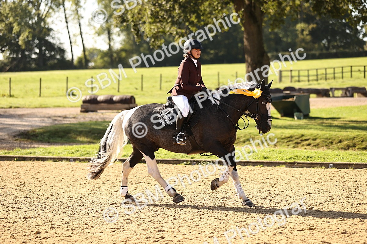 SBM_35230 - J38 - Senior 80cm Championship