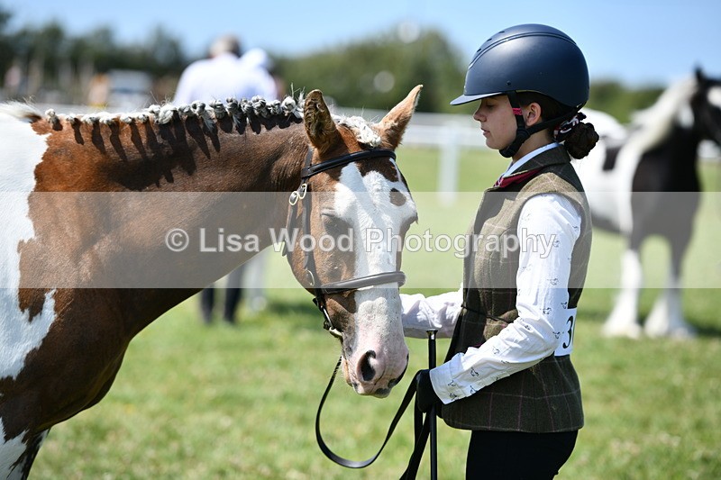 DSC_7767 - Class 64: Coloured Pony 4yrs & over