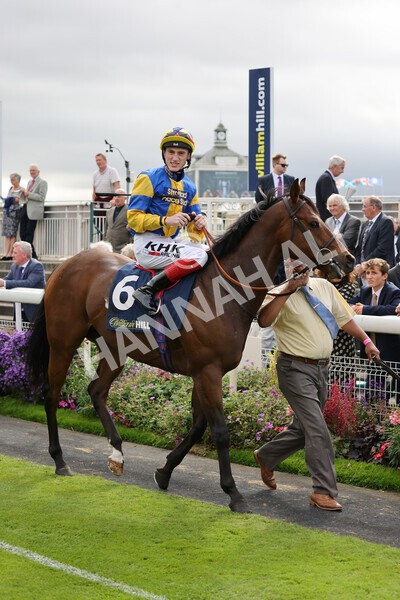 yr24092021r2-14 - Race 2 2.05pm William Hill Extra Places Races Stakes