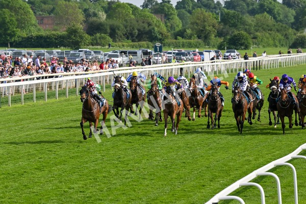 170524-Race 6-Riot-8484 - Race 6 4.45pm Yorkshire Equine Practice Handicap
