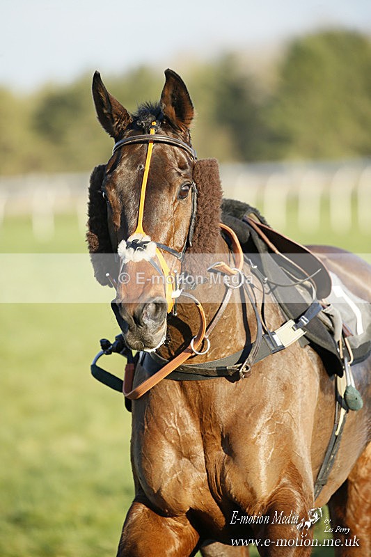 PtP 121220 643 - Avon Vale Races Larkhill 12/12/20