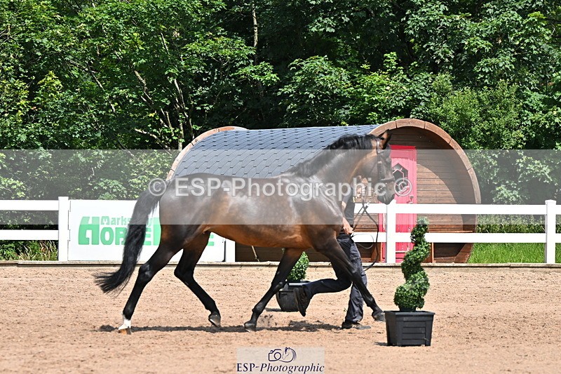 240718A-105258-01384 - Trot Up 12pm to 1pm