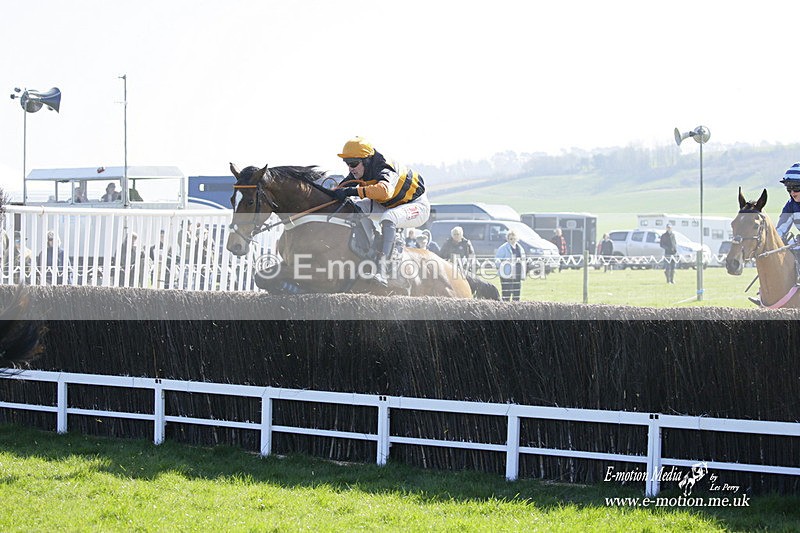 PtP 190322 230 - Wilton Hunt PtP Milborne St Andrew 19/03/22