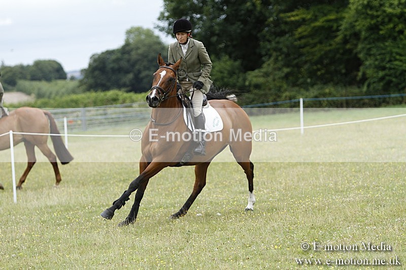 BVR160717-1691 - Ring 3 BVRC Show 16/07/17