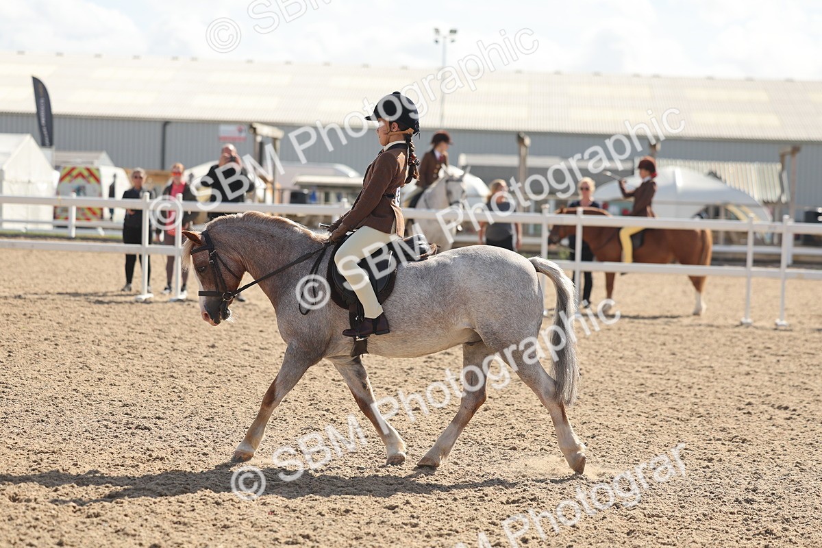 SBM_23120 - Class 806 - Young Rider 10ry and Under