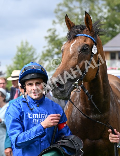 220825-088 Trawlerman - Race 2 2.25pm Weatherbys Lonsdale Cup Stakes
