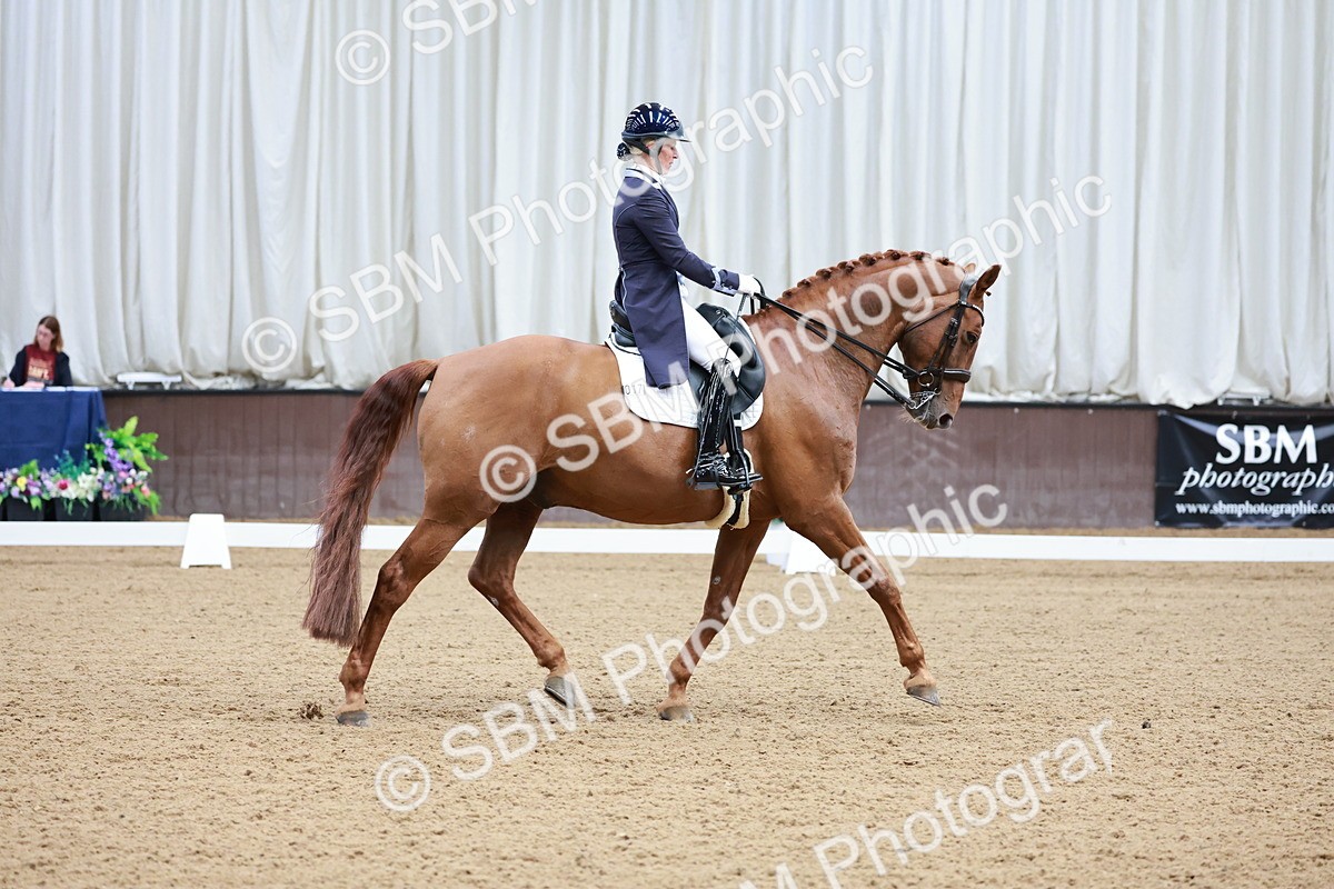 SBM_015642 - Class 5 - FEI INT II - 15.48-17.00