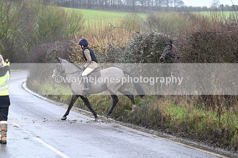 WJ7_7074 - Crossing A Camera