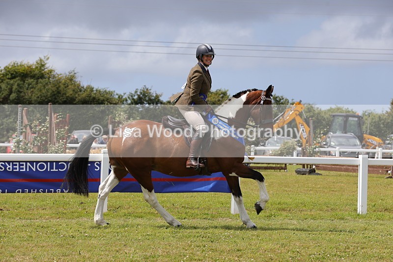 1X9A4990 - Veteran Championship