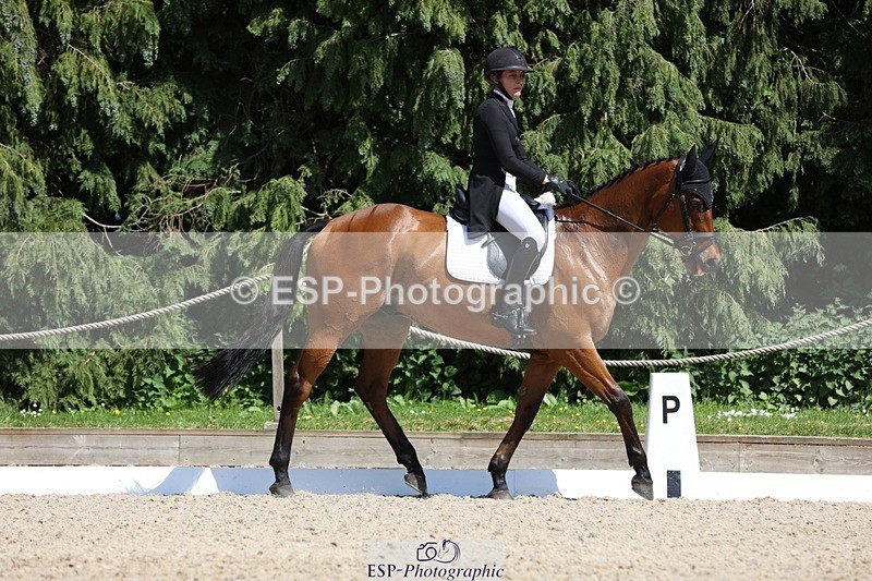 230526-150227-06609 - 377-GOLD_NUGGET-Jillian_Giessen-WEDTrotUp+DR