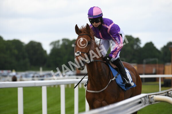 yr11062022r2-32 - Race 2 2.00pm Queen Mother's Cup
