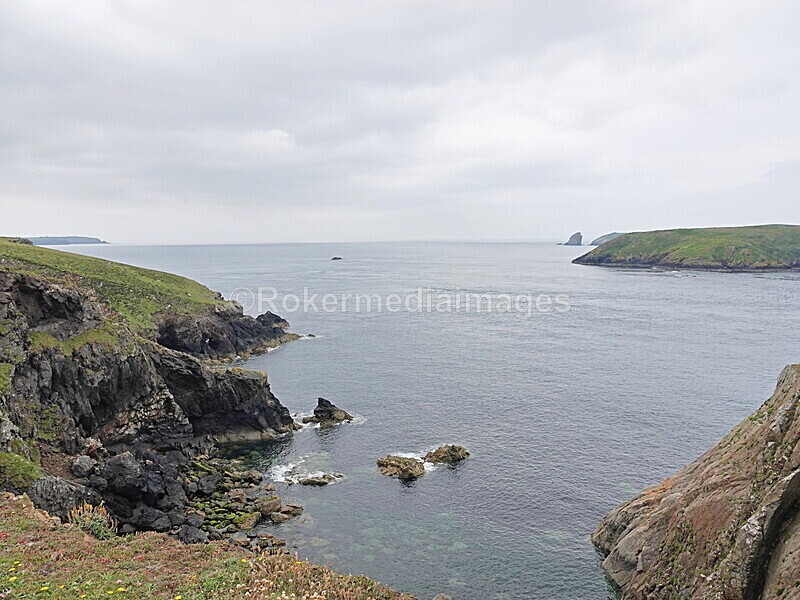 DSC00157 - Skomer 2019